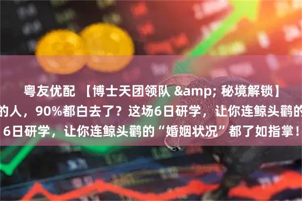 粤友优配 【博士天团领队 & 秘境解锁】为什么去过新加坡动物园的人，90%都白去了？这场6日研学，让你连鲸头鹳的“婚姻状况”都了如指掌！