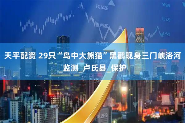 天平配资 29只“鸟中大熊猫”黑鹳现身三门峡洛河_监测_卢氏县_保护