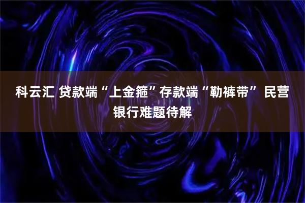 科云汇 贷款端“上金箍”存款端“勒裤带” 民营银行难题待解